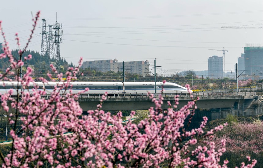 3月15日，动车组列车在成贵高铁贵州省黔西段行驶。