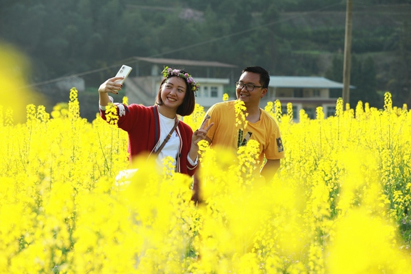 貴州岑鞏縣思旸鎮磨寨村油菜花，游客在拍照。萬再祥攝