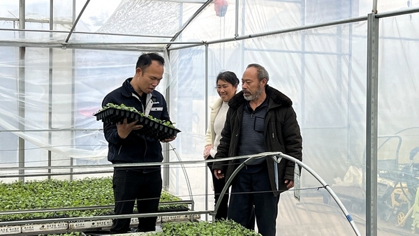 修文县德农苗木培育基地负责人陈福。伍维玉摄