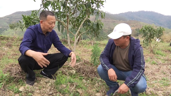 种植致富经_致富种植什么比较赚大钱_致富种植业