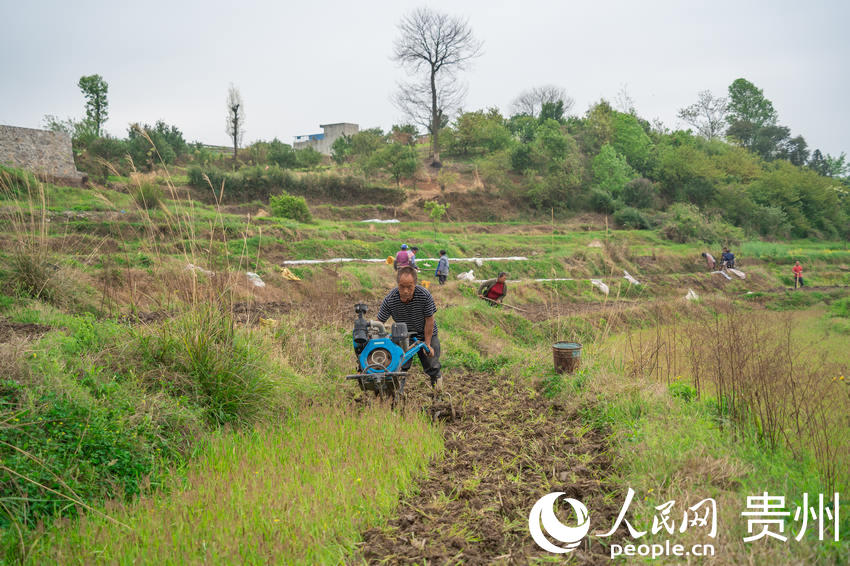 村民們正在整理土地栽種蔬菜。人民網 涂敏攝