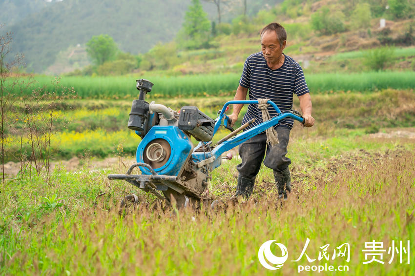 村民們正在整理土地栽種蔬菜。人民網 涂敏攝