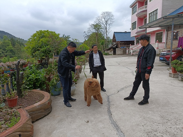 开阳县禾丰乡穿洞村:厚植美善"土壤 铸牢穿洞"根"与"魂"