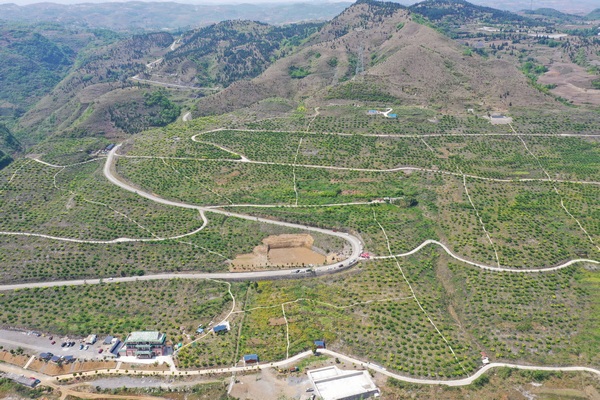 基地航拍。
