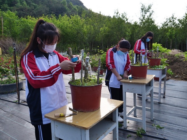 园艺工实操考核现场。