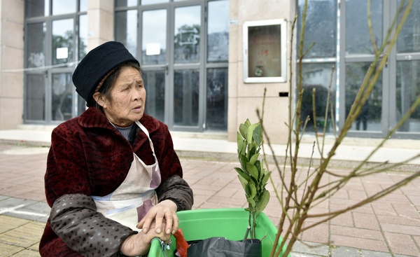 群众在购买果树苗，准备回家栽种。