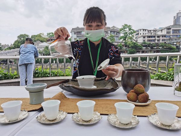 2022“国际茶日”茶文化系列活动在贵阳启动(图4)