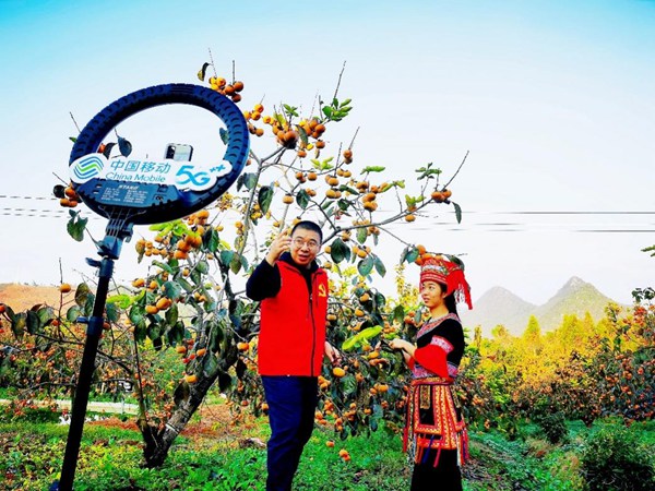 ͼΪ�ܼ����ǵ�5G���硣