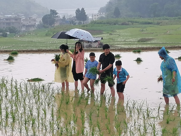活动现场。杨萍摄