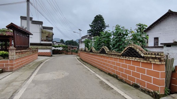 平寨村干淨整潔的村道。陳富順攝