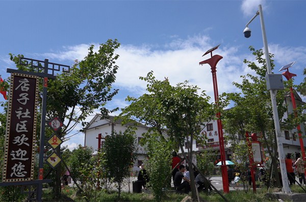 店子社區綠樹成蔭的廣場。