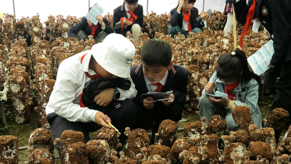 安顺经开区:研学活动走进聚福菌 开展“蘑”幻之旅。赵才骏摄