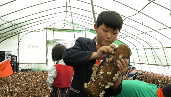 安顺经开区:研学活动走进聚福菌 开展“蘑”幻之旅。赵才骏摄