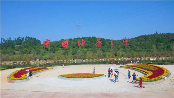 農旅結合。