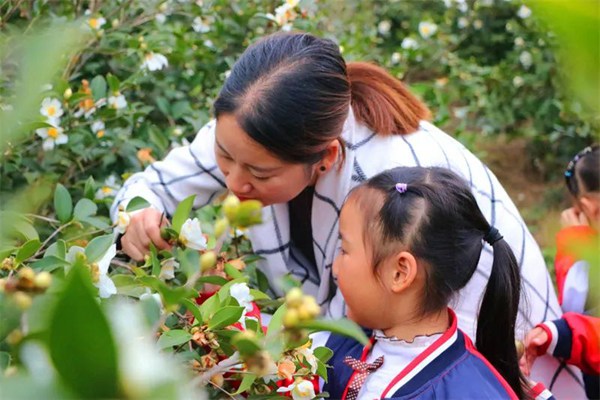 油茶研學。