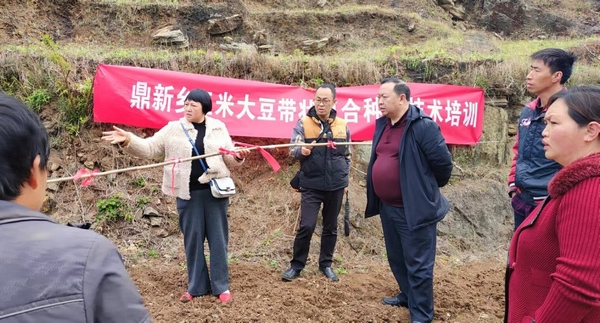 鼎新鄉農業服務中心農技人員對黑泥村種植戶進行大豆玉米栽種前技術培訓。艾方乾攝