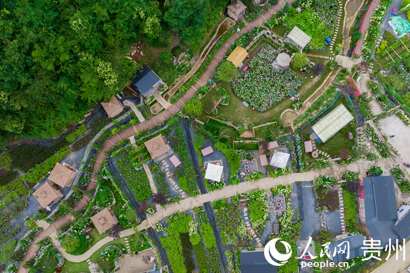 航拍蓬萊村村民自建的花圃觀賞園。人民網 涂敏攝
