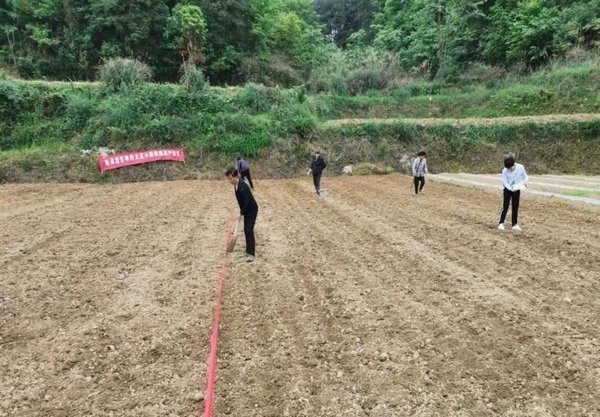 深入田间地头指导。