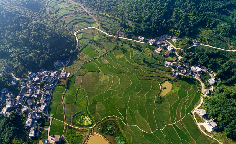 2022年7月4日拍摄的贵州省黔西市钟山镇猫山村村庄田园（无人机照片）。
