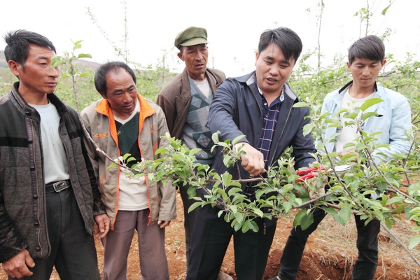 圖為楊華(右二)正在蘋果基地給果農培訓（資料圖）。