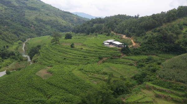 和亭村桑蚕产业基地。