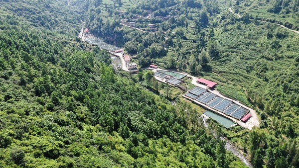 7月7日，贵州省大方县大山乡三文鱼养殖基地航拍。周训贵摄