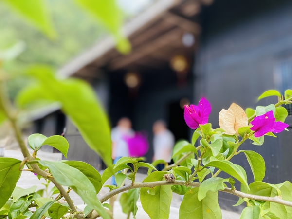 朝阳村姚敦松家最美庭院。葛永智摄