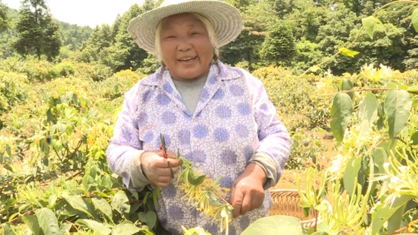 花仙子李家芬。