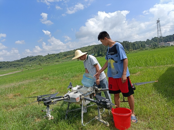 無人機植保助推水稻生產機械化。
