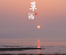 威宁草海：贵州高原上的鸟类栖息“天堂”