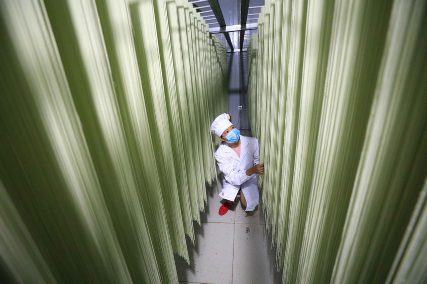 2022年7月11日,工人在贵州省铜仁市江口县太平镇太平社区一家农业科技企业车间里里加工铁皮石斛挂面。