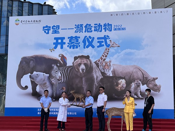 展览开幕仪式现场。赖昱伽摄