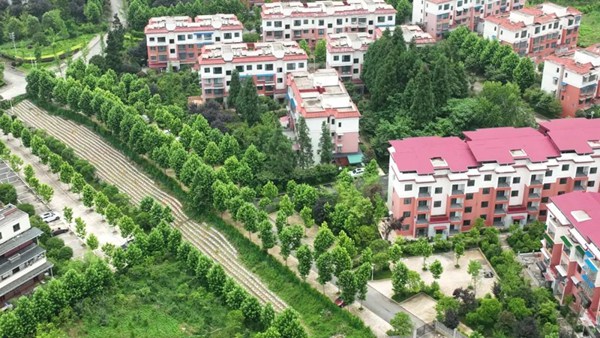 不斷升級基礎設施，完善服務管理。