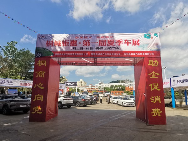 “桐城钜惠·第一届夏季车展”现场。赵兵摄