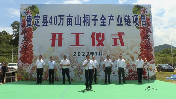 贵定县40万亩山桐子全产业链项目开工。