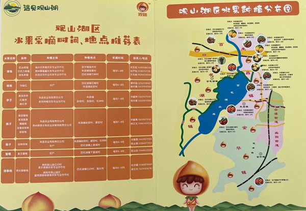採摘線路。賴昱伽攝