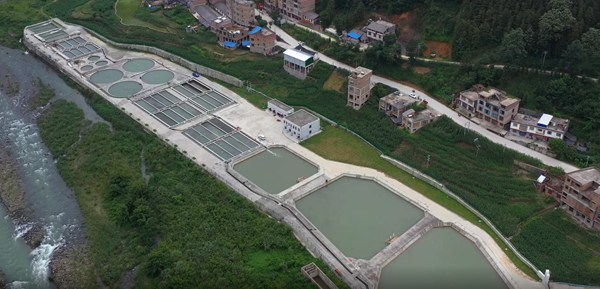 樂旺村生態漁業基地。