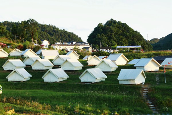 扰绕露营基地。