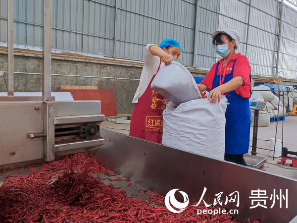 工人正加工處理干辣椒。人民網 李麗萍攝