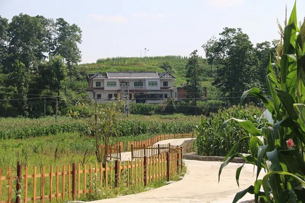 生态宜居的村庄。