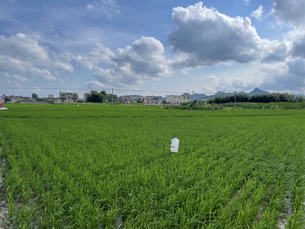产业兴旺。