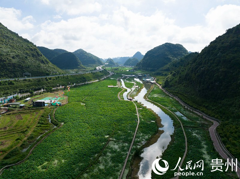 盛夏时节的“十里荷廊”。人民网 龙章榆摄