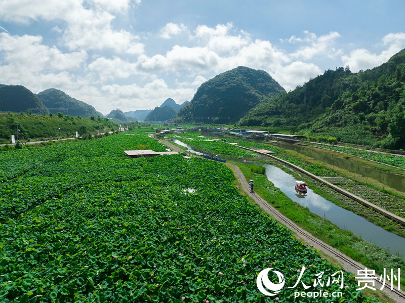 盛夏时节的“十里荷廊”。人民网 龙章榆摄