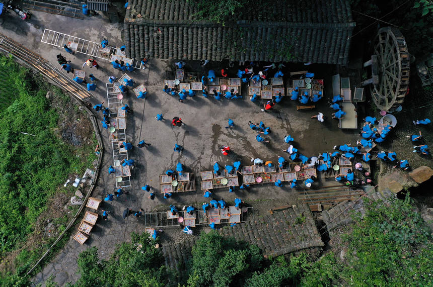 7月25日,小学生在造纸作坊体验花草纸制作技艺(无人机照片)。