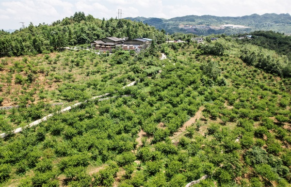 7月24日，大方县顺德办事处白石村迎庆桃李山庄航拍。