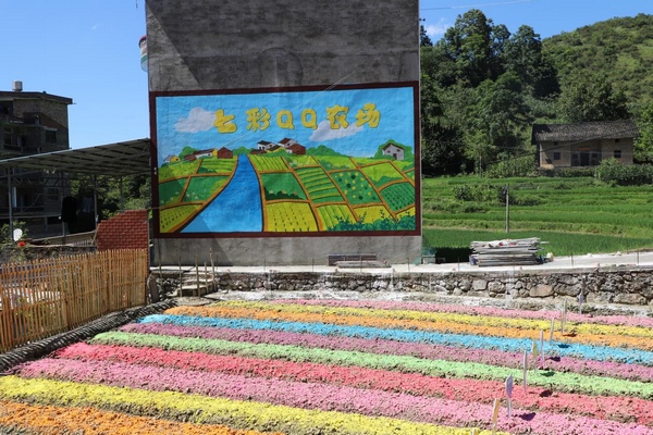 七彩QQ农场。