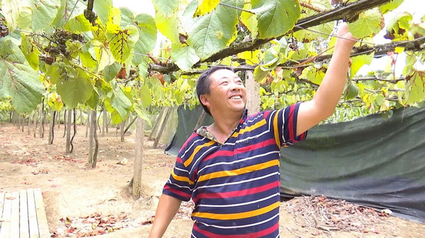 萬山多舉措助力殘疾人創業就業。