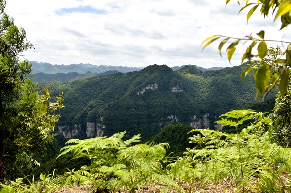 大方县星宿乡麻岭村良好的自然生态环境。郑吉军摄