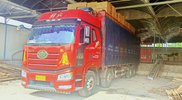 2 林福志的澳洲杉、牡丹等花卉經過精心包裝后裝車發往鄭州。