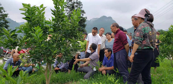 农业专家在劳联村进行果树种植技术培训。沿河县委宣传部供图